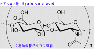 ヒアルロン酸の構造